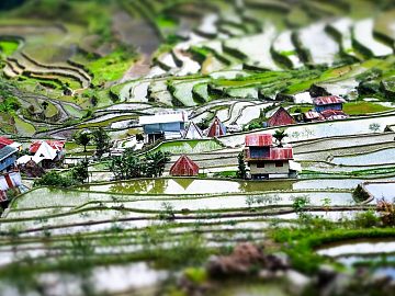 Zdjęcie kierunku: Manila